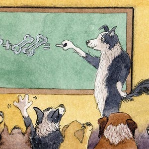 May include: A watercolour illustration depicts a dog teaching maths to a class of dogs. The teacher, a black and white dog, points to a chalkboard with bone-shaped equations. The students, various breeds, look up attentively.