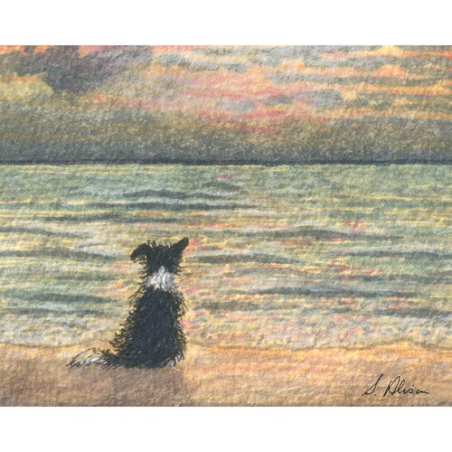 Border Collie dog 5x7 and 8x10 art prints sheepdog saying hello to the morning dawning over th sea from watercolour painted by Susan Alison