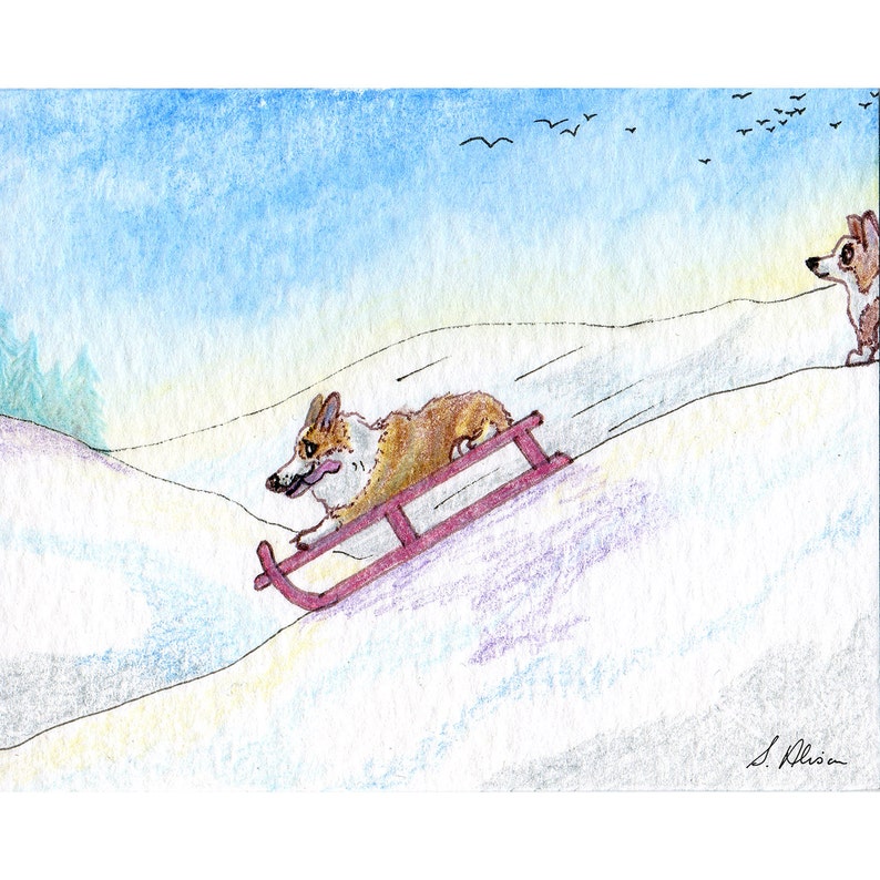 Welsh Corgi dog 5x7 8x10 signed art print speed fiend sledding sledging sled snow downhill sport leisure activity bobsledding tobogganing image 1