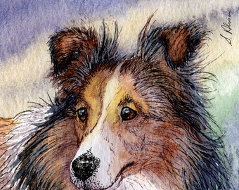 Sheltie dog 8x10 pouces signé impression d’art à partir d’une aquarelle de Susan Alison Shetland Sheepdog sable travail chien de berger collie