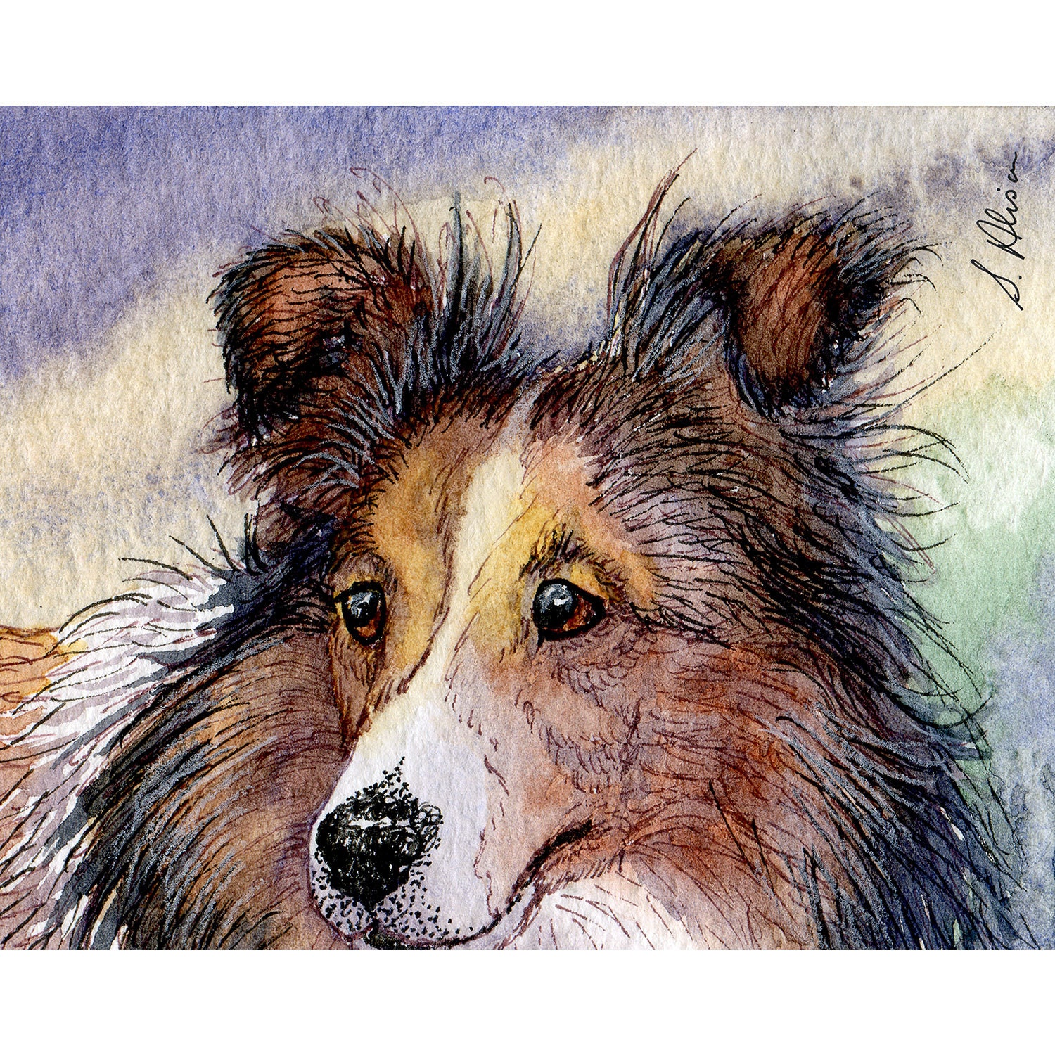 Sheltie Dog 8x10 Inch Signed Art Print From a Watercolor Painting