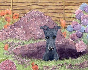 Gardening greyhound 5x7 and 8x10 art prints poster digging a hole modest about his achievements garden hydrangeas whippet lurcher sighthound