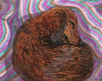 Dachshund dog pup snooze 8x10 art print from Susan Alison watercolor painting Weiner Doxie sausage dog asleep dreaming snoozing comfortable