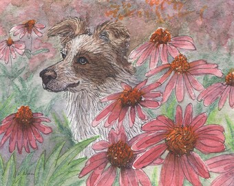 Border Collie 8x10 5x7 inch print poster working dog red & white sheepdog from a Susan Alison watercolour painting rudbeckia daisies flowers