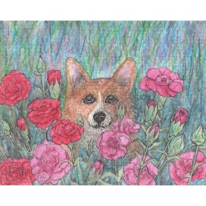Carnation flowers Welsh Corgi dog 5x7 and 8x10 art prints poster floral from a Susan Alison watercolour painting bumper crop gardener grower