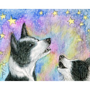 Two singing howling Border collie dogs 5x7 8x10 print poster in harmony from a Susan Alison watercolour painting duet harmonising sheepdog