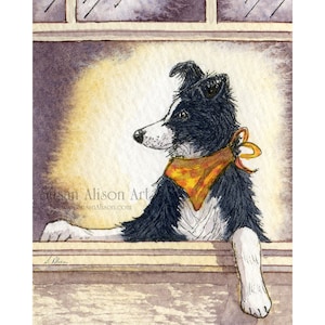 Border Collie dog 5x7 and 8x10 inch art print sheepdog poser in window wearing neck scarf cool dude from a Susan Alison watercolor painting