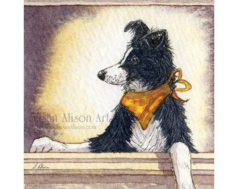 Border Collie dog 5x7 8x10 11x14 art print sheepdog poser in window wearing neck scarf cool dude from a Susan Alison watercolor painting