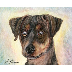 Lacy Game dog 5x7 and 8x10 inch print what wot - such puzzled innocence innocent pup from a Susan Alison watercolour painting working hunter