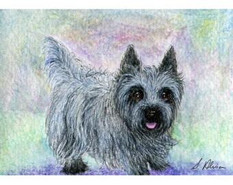 Cairn Terrier dog 8x10 print - she was keen for walk - she was always keen for a walk - blue brindle Cairn - grey brindle Susan Alison