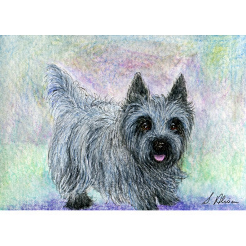 Cairn Terrier dog 8x10 print she was keen for walk she was always keen for a walk blue brindle Cairn grey brindle Susan Alison image 1