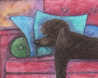 Brown poodle dog 5x7 and 8x10 art print from a watercolour painting by Susan Alison chocolate standard toy tired snoozing sleeping asleep