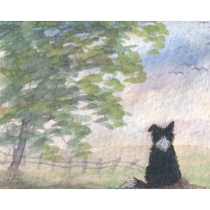 Green grass Border Collie dog 5x7 8x10 art print poster sheepdog from a painting by Susan Alison is greener yearning over there tree shade
