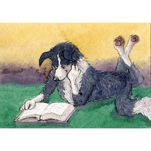 Border Collie dog 8x10 and 5x7 inch signed print poster from a painting by Susan Alison sheepdog reading a good book lost in fiction