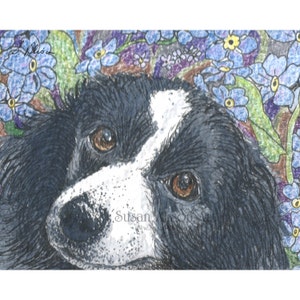 Border Collie dog 5x7 8x10 art print sheepdog forget me not blue flower remembrance floral from a w/c painting by Susan Alison remembering