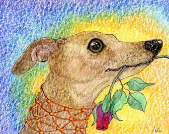 red rose between his teeth greyhound whippet dog 5x7 8x10 inch art print poster from a watercolour painting by Susan Alison galgo IG flower