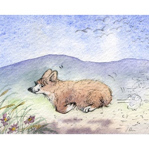 racing Welsh Corgi dog 8x10 print teatime stampede whoosh running eager for food don't get in the way of a corgi & his supper Susan Alison