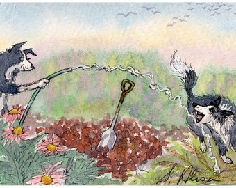 Border Collie dog 5x7 & 8x10 art print gardening is fun playing with garden hose affinity with water from a Susan Alison painting sheepdog
