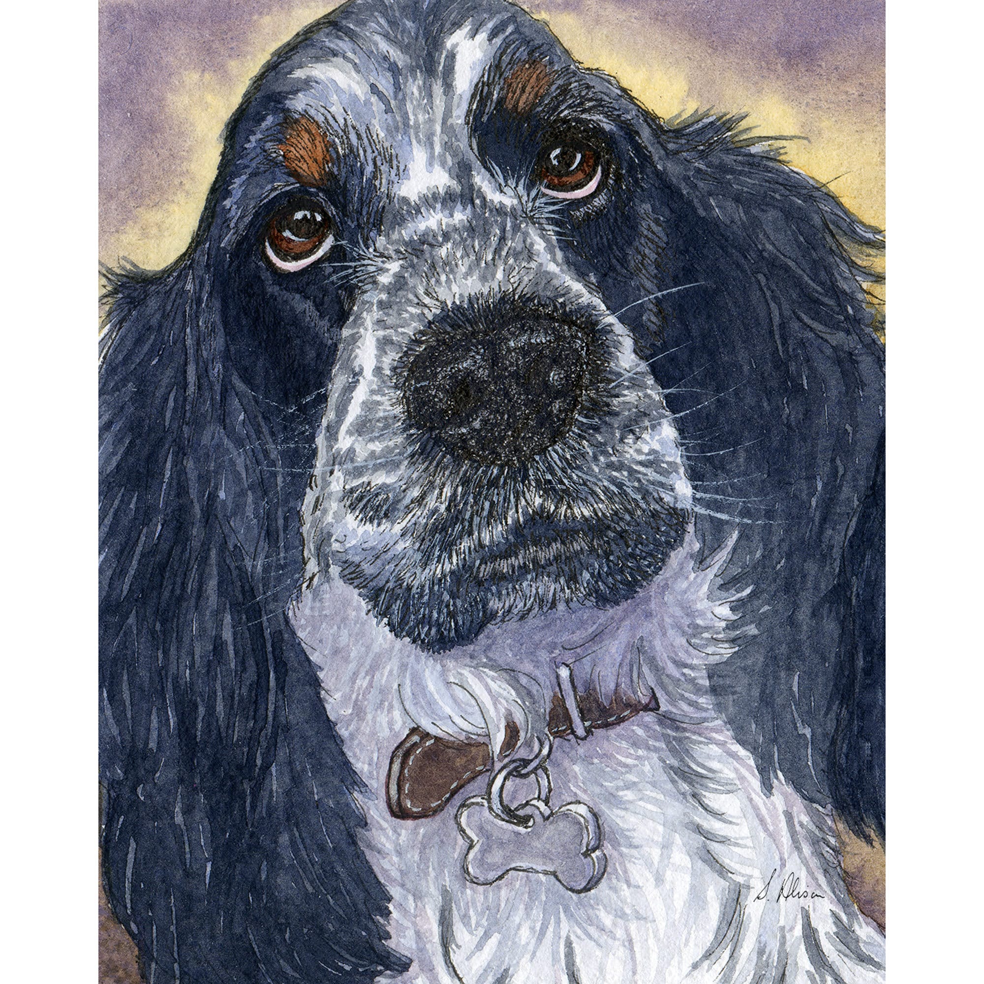 Cocker Spaniel Dog 5x7 8x10 Inch Print Poster Wistful Blue Roan