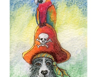 Affiche impression 5 x 7 8 x 10 Border Collie chien parler comme un pirate day perroquet épaule tricorne chapeau tête de mort chien de berger Susan Alison