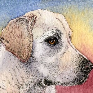 Labrador retriever 5x7 and 8x10 inch signed art print poster from a Susan Alison watercolour painting yellow lab guide dog thoughtful face image 2