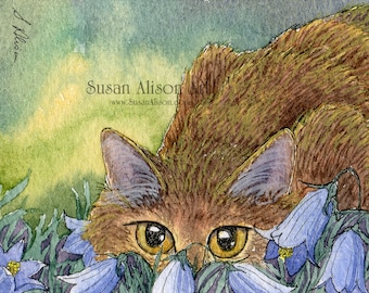 Cat kitten stalking harebells 5x7 and 8x10 inch prints bluebells Susan Alison blue flowers playing stalking floral wild flowers ginger tabby