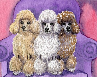 Three poodles 8x10 art print three's a pack three dogs sitting in an armchair from a Susan Alison watercolour painting apricot brown white