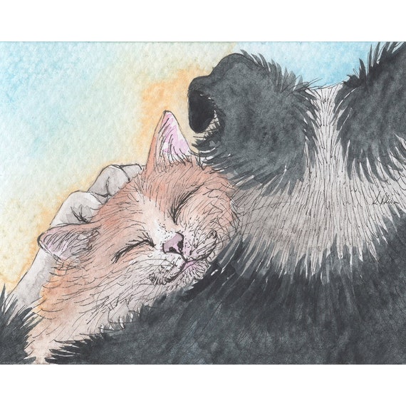 Border Collie Dog 5x7 and 8x10 Prints Poster Ginger Cat From a