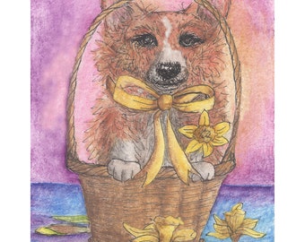 Easter Welsh Corgi dog pup in basket signed art print poster 5x7 8x10 inches from Susan Alison watercolour painting flowers daffodils spring