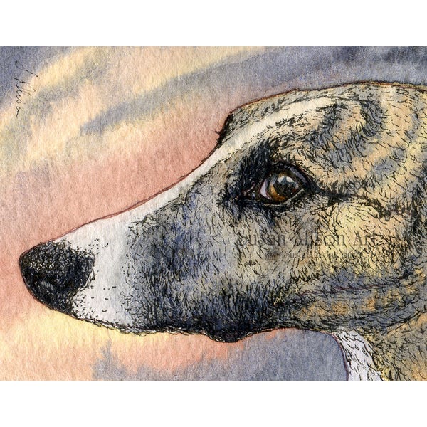 Greyhound Whippet dog print 5x7 8x10 inch sleek brindle sighthound gazehound lurcher IG Italian from a Susan Alison watercolour painting