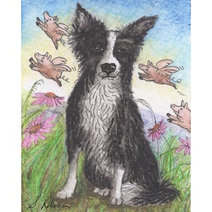 Border Collie dog 5x7 & 8x10 by Susan Alison print sheepdog pigs might fly sometimes seemingly impossible things can happen wishes miracles