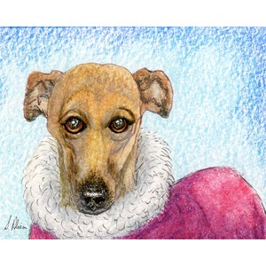 Galgo IG Whippet greyhound dog winter coat 8x10 and 5x7 print poster from a Susan Alison painting let it snow I am ready wrapped up warm