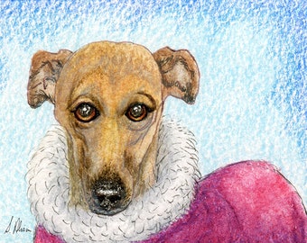 Galgo IG Whippet greyhound dog winter coat 8x10 and 5x7 print poster from a Susan Alison painting let it snow I am ready wrapped up warm