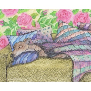 Whippet greyhound dog print 5x7 and 8x10" lurcher sighthound from a Susan Alison watercolour painting snooze time nap dozing snoozing asleep