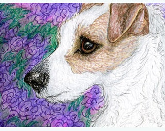 Puzzled Jack Russell Terrier dog 5x7 and 8x10 inch print poster from watercolour painting by Susan Alison JRT he'd buried his bone & lost it