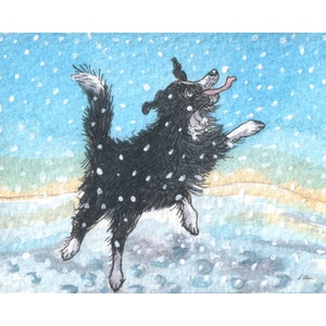 Border Collie dog 8x10 and 5x7 inch signed print poster sheepdog greets snow by catching snowflakes on tongue from painting by Susan Alison