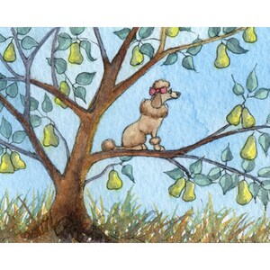 Poodle dog pear tree 5x7 & 8x10 print poster carol song from a Susan Alison watercolour painting on the first day of Christmas my true love