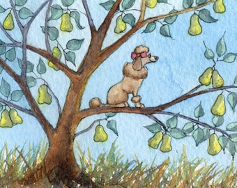 Poodle dog pear tree 5x7 & 8x10 print poster carol song from a Susan Alison watercolour painting on the first day of Christmas my true love