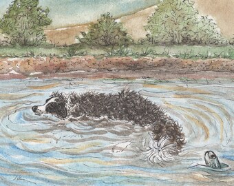 Border Collie dog 5x7 and 8x10 prints from a Susan Alison watercolour painting sheepdog floating in river cooling down crocodile heatwave