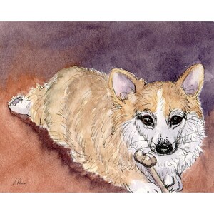 always respect your food Welsh Corgi dog 8x10 & 5x7 print from a Susan Alison watercolour painting chewing a bone considering his nosh chomp
