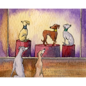 whippet greyhound dog window shopping 8x10 and 5x7 print poster from a Susan Alison watercolour painting neck collar fashion accessory galgo