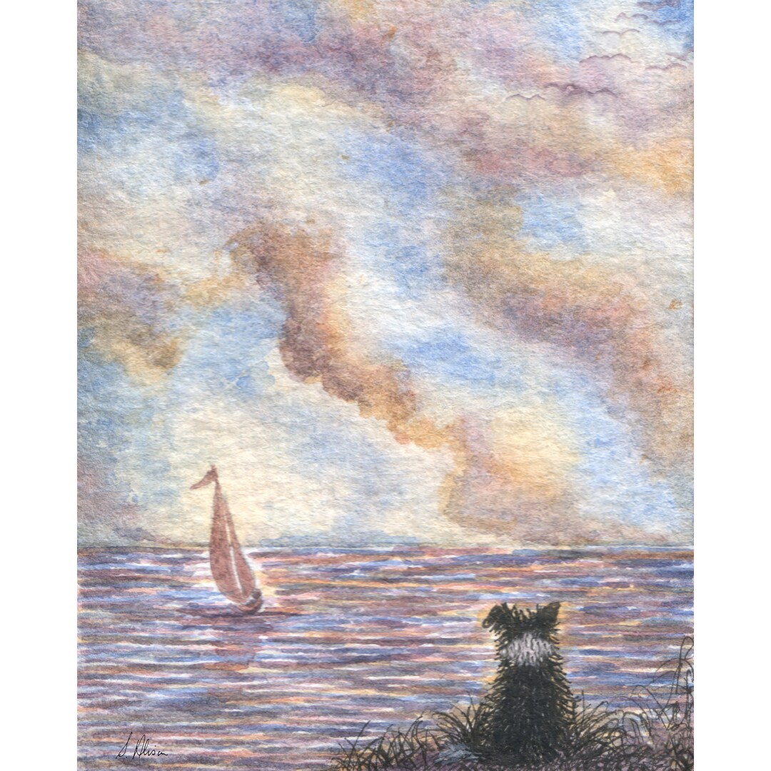 Old Seadog Border Collie Dog 8x10 and 5x7 Signed Art Print From a Susan