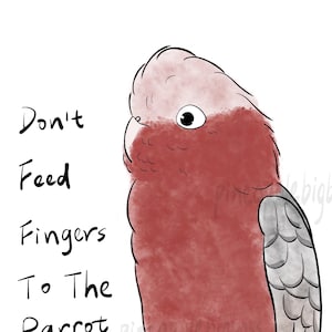 2 pc Galah Cockatoo Parrot Sticker Pink and Gray Cockatoo Rose Breasted Cockatoo laptop sticker decoration bird lover gift parrot owner gift