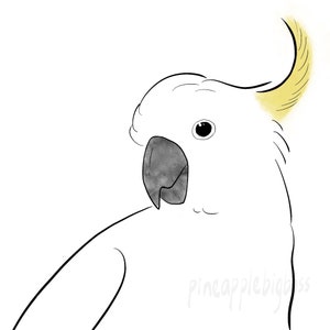 Sulphur Crested Cockatoo Sticker: Parrot Lover Gift, Laptop Decal (2 pcs)