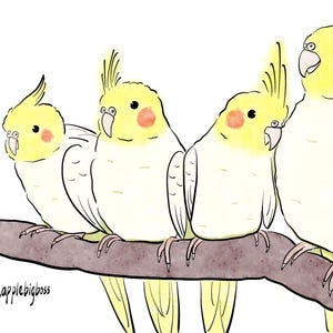 2 pcs Lutino Cockatiels Stickers Parrot Sticker laptop sticker decoration bird lover gift parrot owner gift