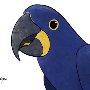 2 pcs Hyacinth macaw Sticker Parrot Sticker laptop notebook sticker decoration bird lover gift parrot owner gift