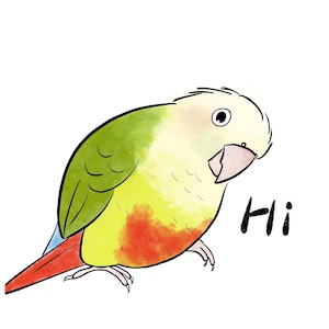 May include: A cartoon illustration of a green, yellow, and red parrot with a blue tail, saying "Hi".
