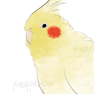 2 pcs Lutino Cockatiel Stickers Parrot Sticker laptop sticker decoration bird lover gift parrot owner gift