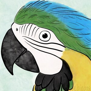 2 pcs Blue and yellow macaw Sticker Parrot Sticker laptop sticker decoration bird lover gift parrot owner gift