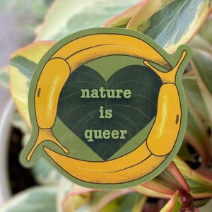 May include: A green sticker with two yellow slugs forming a heart shape. The heart is filled with a dark green leaf and the text "nature is queer" is printed in white.